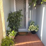 Rose Mazza - @rosebudd1957 - Instagram