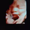 rosemcafee - @rosemcafee - TikTok