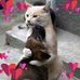 Rose McCartney - Facebook