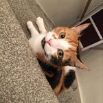 Rose Lindley-McGovern - @rlindley8 - Instagram