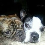 Rose Vega McGovern - @rosalita57 - Instagram