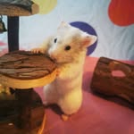 Rose McGregor - @rosemcgregor71 - Instagram
