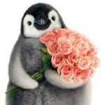Rose McGuire - @penguinorca - Instagram