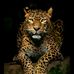 Rosie McInerney - Facebook