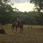 Ashlie Rose Mcintosh - @bolt_and_mee - Instagram