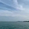 rose mckee - @rose.mckee - TikTok