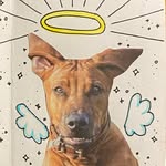 rose mclean - @bosebakedart - Instagram