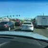 mcnally rose - @mcnally.rose - TikTok