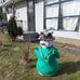 Rose McNerney Sanner - Facebook