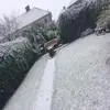 Courtney rose McPhee  - @courtneyrosemcphee12 - TikTok