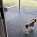 Rose McRoberts - Facebook