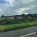 Rose Meehan - Facebook
