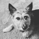 Rose Kathy Meek - @garlicsauce99 - Instagram