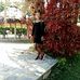Rose Meek - Facebook