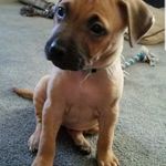 Rose Meeks Cunningham - @rosemeekscunningham - Instagram