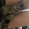 rose - @rose.mmellor - TikTok
