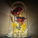 Rose Menard - @belle_roserouge - Instagram