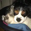 rosemenard - @rosi.mnrd - TikTok