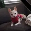 Rosa Menchaca862 - @rosamenchaca20 - TikTok