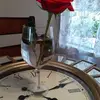 Rosa Menchaca - @rosa.menchaca1 - TikTok