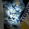 rosemenchaca1 - @rosemenchaca1 - TikTok