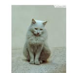 Mary Rose Mifsud - @mifsudmrose - Instagram