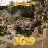 Mary Rose Mifsud - @maryrosemifsud - TikTok
