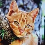 Maryrose Mifsud - @maryrosemifsud - Instagram