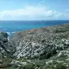 roseannmifsud - @roseannmifsud - TikTok