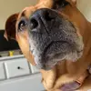 Rose Isabella - @rosemonaghan5 - TikTok