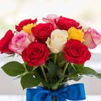 Rose Monaghan - Facebook