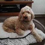 Rose Monaghan - @monaghanrose - Instagram