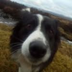 Rose Morley - @rem4720 - Instagram