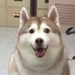 Rose Morley - @big_fat_seal_papyrus - Instagram