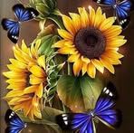 Rose Morley - Facebook