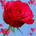 Rose Moses - Facebook