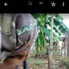 Rose Moses - @rose.moses - TikTok