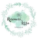 まり　苔テラリウムクリエイター - @rosemoss_terra - Instagram