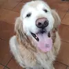 Rose Navarrete - @rose.navarrete5 - TikTok