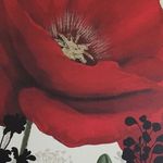 Rose Navarrete - @rosen.studio - Instagram