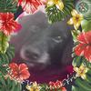 Rose Ness - @rose.ness4 - TikTok