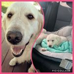 Rose And Myah Newby - @rose_myah_koa_newby - Instagram