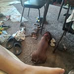 Rose Newcomer - @rose.newcomer.14 - Instagram