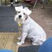 Rose Nickles - Facebook