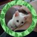 Rose Nickles - Facebook