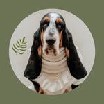 DOLLY JEAN + ETHEL ROSE + LEONARD NIX - @dolly_jean_the_basset - Instagram