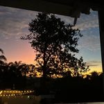 Rose Noble - @rrosenoble1 - Instagram
