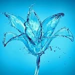 Rose - @rose.nobles - Instagram