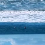 @rosen.one - Instagram