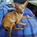 Rosie Norberg - Facebook
